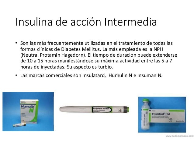 Capacitacion diabetes tipo 1 y 2 Capacitacion diabetes tipo 1 y 2