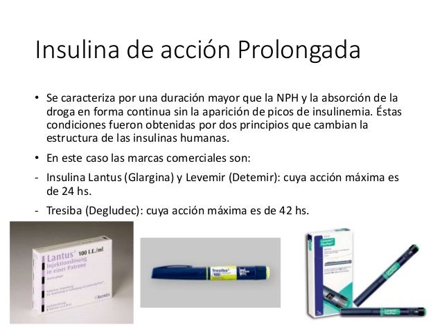 Capacitacion diabetes tipo 1 y 2 Capacitacion diabetes tipo 1 y 2