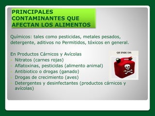 PRINCIPALES
CONTAMINANTES QUE
AFECTAN LOS ALIMENTOS
Químicos: tales como pesticidas, metales pesados,
detergente, aditivos no Permitidos, tóxicos en general.
En Productos Cárnicos y Avícolas
 Nitratos (carnes rojas)
 Aflatoxinas, pesticidas (alimento animal)
 Antibiotico o drogas (ganado)
 Drogas de crecimiento (aves)
 Detergentes y desinfectantes (productos cárnicos y
avícolas)
 