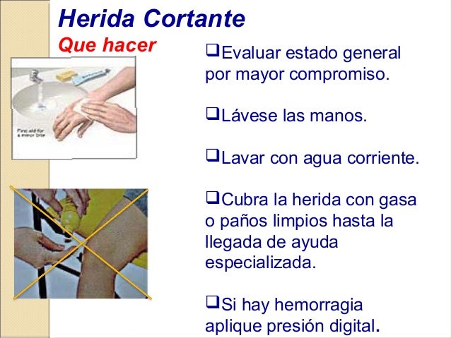 Una pequeña excrecencia sobre el miembro