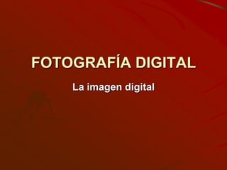 FOTOGRAFÍA DIGITAL
    La imagen digital
 