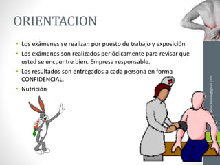 ORIENTACION
• Los exámenes se realizan por puesto de trabajo y exposición
• Los exámenes son realizados periódicamente para revisar que
usted se encuentre bien. Empresa responsable.
• Los resultados son entregados a cada persona en forma
CONFIDENCIAL.
• Nutrición
ainso.bolivia@gmail.com
 