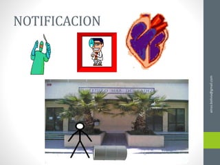 NOTIFICACION
ainso.bolivia@gmail.com
 