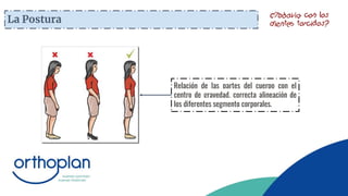 La Postura
Relación de las partes del cuerpo con el
centro de gravedad, correcta alineación de
los diferentes segmento corporales.
 