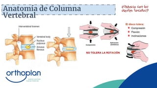 Anatomía de Columna
Vertebral
 