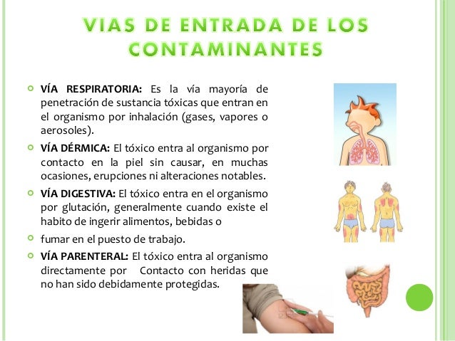 Ha fumado un cigarrillo después de que dejar fumar