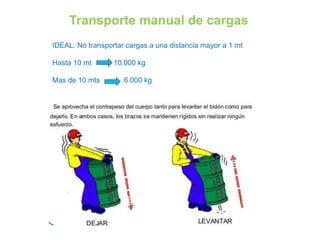 Transporte manual de cargas
IDEAL: No transportar cargas a una distancia mayor a 1 mt
Hasta 10 mt 10.000 kg
Mas de 10 mts 6.000 kg
 