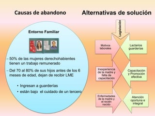 Entorno Familiar
 50% de las mujeres derechohabientes
tienen un trabajo remunerado
 Del 70 al 80% de sus hijos antes de los 6
meses de edad, dejan de recibir LME
• Ingresan a guarderías
• están bajo el cuidado de un tercero
Causas de abandono
Enfermedades
de la madre y
el recién
nacido
Atención
oportuna e
integral
Inexperiencia
de la madre y
falta de
capacitación
Capacitación
y Promoción
efectiva
Motivos
laborales
Lactarios
guarderías
Alternativas de solución
 