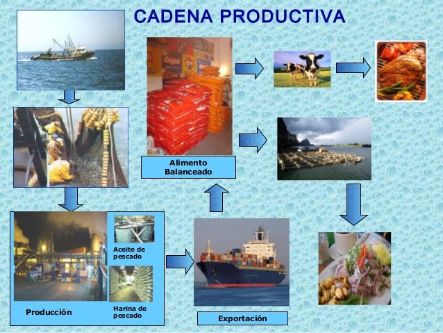 cadena productiva harina de pescado capacitacion norma gmp fsa cadena productiva harina de pescado capacitacion norma gmp fsa