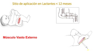 29
Sitio de aplicación en Lactantes < 12 meses
Músculo Vasto Externo
 
