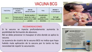 VACUNA BCG
30
VACUNA
ENFERMEDA
D QUE
PREVIENE
EDAD
APLICACIÓN
VIA
DOSIS Y
CANTIDAD
BCG
Formas graves
de tuberculosis
Recién nacido a
menor de 1 año a
partir de los 2.000
gramos
Intradérmica
musculo
(deltoides brazo
derecho)
0,1 ml
UNICA DOSIS
RECOMENDACIONES
Si la vacuna se inyecta profundamente aumenta la
posibilidad de formación de abscesos.
NO se debe presionar ni masajear el sitio donde se aplico la
vacuna.
La ausencia de cicatriz de la vacuna BCG no indica que haya
habido mala aplicación de la vacuna por lo tanto no hay
necesidad de repetir la vacunación.
 