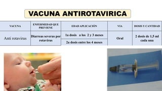 33
VACUNA
ENFERMEDAD QUE
PREVIENE
EDAD APLICACIÓN VIA DOSIS Y CANTIDAD
Anti rotavirus
Diarreas severas por
rotavirus
1a dosis a los 2 y 3 meses
Oral
2 dosis de 1,5 ml
cada una
2a dosis entre los 4 meses
VACUNA ANTIROTAVIRICA
 