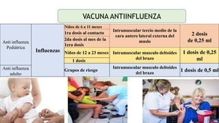 39
Anti influenza
Pediátrica
Influenzas
Niños de 6 a 11 meses
Intramuscular tercio medio de la
cara antero lateral externa del
muslo
2 dosis
de 0,25 ml
1ra dosis al contacto
2da dosis al mes de la
1era dosis
Niños de 12 a 23 meses Intramuscular musculo deltoides
del brazo
1 dosis de 0,25
ml
1 dosis
Grupos de riesgo
Intramuscular musculo deltoides
del brazo
1 dosis de 0,5 ml
Anti influenza
adulto
VACUNA ANTIINFLUENZA
 