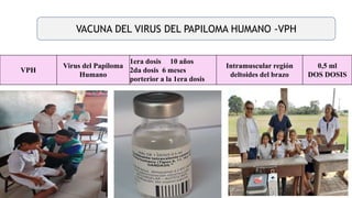 41
VPH
Virus del Papiloma
Humano
1era dosis 10 años
2da dosis 6 meses
porterior a la 1era dosis
Intramuscular región
deltoides del brazo
0,5 ml
DOS DOSIS
VACUNA DEL VIRUS DEL PAPILOMA HUMANO -VPH
 