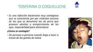 TOSFERINA O COQUELUCHE
• Es una infección bacteriana muy contagiosa
que se caracteriza por por violentos accesos
de tos que se denomina tos de perro que
provoca vómitos y enrojecimiento de los
ojos, imposibilidad para alimentarse
¿Como se contagia?
• De persona a persona cuando llega a toser a
través de las gotitas de saliva
 