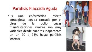 Parálisis Fláccida Aguda
•Es una enfermedad infecto
contagiosa aguda causada por el
virus de la polio cuyas
manifestaciones clínicas son muy
variables desde cuadros inaparentes
en un 90 a 95% hasta parálisis
severas
 