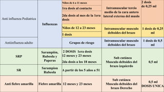 81
Anti influenza Pediatrica
Influenzas
Niños de 6 a 11 meses
Intramuscular tercio
medio de la cara antero
lateral externa del muslo
2 dosis
de 0,25 ml
1ra dosis al contacto
2da dosis al mes de la 1era
dosis
Niños de 12 a 23 meses Intramuscular musculo
deltoides del brazo
1 dosis de 0,25
ml
1 dosis
Antiinfluenza adulto Grupos de riesgo
Intramuscular musculo
deltoides del brazo
1 dosis de 0,5
ml
SRP
Sarampión,
Rubeola y
Paperas
2 DOSIS 1era dosis
12 meses y 23 meses
Sub cutánea
Musculo deltoides del
brazo izquierdo
0,5 ml
2da dosis a los 18 meses
SR
Sarampion
Rubeola
A partir de los 5 años a 51
Anti fiebre amarilla Fiebre amarilla 12 meses y 23 meses
Sub cutánea
Musculo deltoides del
brazo Derecho
0,5 ml
DOSIS UNICA
 