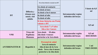 82
DT
Difteria y
tétanos neo
natal y del
adulto
Si no tiene historia vacunal con DT
Intramuscular region
deltoides del brazo
5 dosis de 0,5
ml
1ra dosis al contacto
2a dosis al mes
3a dosis a los 6 meses
4a dosis al año
5a dosis al año
Si tiene historia con Penta
valente o DT
0,5 ml
1era dosis 7 a 9 años
2da a los 2 meses
VPH
Virus del
Papiloma
Humano
1era dosis 10 años
2da dosis 6 meses
porterior a la 1era dosis
Intramuscular región
deltoides del brazo
0,5 ml
DOS DOSIS
ANTIHEPATITIS B Hepatitis b
Personal de salud
1era al contacto
2da al mes de la 1era
dosis 3era a los 6 meses
posterior a la 2da dosis
Intramuscular region
deltoides del brazo
1 ml
TRES DOSIS
 