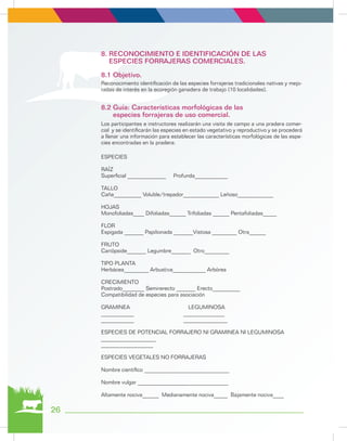 Reconocimiento identificación de las especies forrajeras tradicionales nativas y mejo-
radas de interés en la ecoregión ganadera de trabajo (10 localidades).
Los participantes e instructores realizarán una visita de campo a una pradera comer-
cial y se identificarán las especies en estado vegetativo y reproductivo y se procederá
a llenar una información para establecer las características morfológicas de las espe-
cies encontradas en la pradera:
ESPECIES
RAÍZ
Superficial ______________ Profunda____________
TALLO
Caña__________ Voluble/trepador_____________ Leñoso_____________
HOJAS
Monofoliadas____ Difoliadas______ Trifoliadas ______ Pentafoliadas_____
FLOR
Espigada _______ Papilionada _______Vistosa _________ Otra______
FRUTO
Cariópside_______ Legumbre_______ Otro_________
TIPO PLANTA
Herbácea_________ Arbustiva____________ Arbórea
CRECIMIENTO
Postrado________ Semirerecto _______ Erecto__________
Compatibilidad de especies para asociación
GRAMINEA LEGUMINOSA
____________ _______________
____________ ________________
ESPECIES DE POTENCIAL FORRAJERO NI GRAMINEA NI LEGUMINOSA
____________________
___________________
ESPECIES VEGETALES NO FORRAJERAS
Nombre científico _______________________________
Nombre vulgar _________________________________
Altamente nociva______ Medianamente nociva_____ Bajamente nociva____
8. RECONOCIMIENTO E IDENTIFICACIÓN DE LAS
ESPECIES FORRAJERAS COMERCIALES.
8.1 Objetivo.
8.2 Guía: Características morfológicas de las
especies forrajeras de uso comercial.
26
 