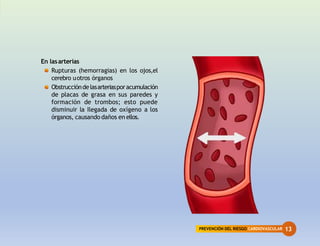 PREVENCIÓN DEL RIESGO CARDIOVASCULAR 13
En lasarterias
Rupturas (hemorragias) en los ojos,el
cerebro uotros órganos
Obstruccióndelasarteriasporacumulación
de placas de grasa en sus paredes y
formación de trombos; esto puede
disminuir la Ilegada de oxígeno a los
órganos, causando daños en ellos.
 