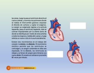 4 PREVENCIÓNDEL RIESGO CARDIOVASCULAR
lasvenas,luego lapasa alventrículoderechoel
cualsecontrae,ylaenvíaalospulmonesdonde
se realiza el intercambio gaseoso (expulsar
el dióxido de carbono y captar el oxígeno).
La sangre ya oxigenada regresa a la aurícula
izquierda; pasa al ventrículo izquierdo, éste se
contrae impulsándola por la arteria aorta de
donde se distribuyepor mediode otrasarterias
atodoslosórganos y tejidosdelcuerpo yluego
reinicia un nuevo ciclo en laaurículaderecha.
Existen dos movimientos en el trabajo del
corazón: lasístole y ladiástole. Elmovimiento
sistólico permite que los ventrículos se
contraigan y la sangre contenida en ellos sea
expulsada. En la diástole, los ventrículos se
relajan y se llenan de sangre para iniciarse una
nuevasístole.Elcorazónsecontraeenpromedio
80 veces porminuto.
sístole
diástole
 