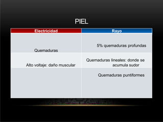 PIEL
Electricidad Rayo
Quemaduras
5% quemaduras profundas
Alto voltaje: daño muscular
Quemaduras lineales: donde se
acumula sudor
Quemaduras puntiformes
 