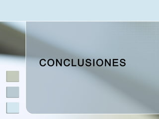 CONCLUSIONES
 