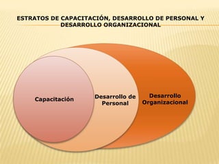 ESTRATOS DE CAPACITACIÓN, DESARROLLO DE PERSONAL Y DESARROLLO ORGANIZACIONALDesarrollo OrganizacionalDesarrollo de PersonalCapacitación