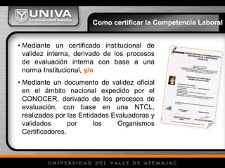 Una persona es competente, con referencia a ciertos indicadores, señalados en las NTCL:Cuando es capaz de desempeñar una función productiva de manera eficiente, Cuando la desarrolla, en diferentes contextos de trabajo, con los mismos resultados.La evaluación de las competencias permite certificar de manera interna o de manera oficiala través de un Centro de Evaluación, sus conocimientos habilidades y destrezas, independientemente de la forma en que hayan sido adquiridos.