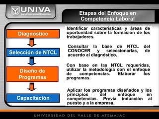 Identificar características y áreas de
oportunidad sobre la formación de los
trabajadores.
Consultar la base de NTCL del
CONOCER y seleccionarlas, de
acuerdo al diagnóstico.
Con base en las NTCL requeridas,
utilizar la metodología con el enfoque
de competencias. Elaborar los
programas.
Aplicar los programas diseñados y los
principios del enfoque en
competencias. Previa inducción al
puesto y a la empresa.
Selección de NTCL
Diseño de
Programas
Capacitación
Diagnóstico
Etapas del Enfoque en
Competencia Laboral
 