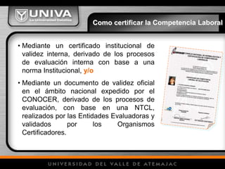 • Mediante un certificado institucional de
validez interna, derivado de los procesos
de evaluación interna con base a una
norma Institucional, y/o
• Mediante un documento de validez oficial
en el ámbito nacional expedido por el
CONOCER, derivado de los procesos de
evaluación, con base en una NTCL,
realizados por las Entidades Evaluadoras y
validados por los Organismos
Certificadores.
Como certificar la Competencia Laboral
 