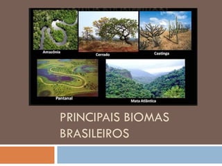 PRINCIPAIS BIOMAS
BRASILEIROS
 