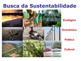 Ecológica
Econômica
Política
Cultural
Busca da Sustentabilidade
 