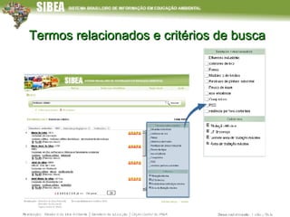 Termos relacionados e critérios de busca 