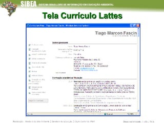 Tela Currículo Lattes 