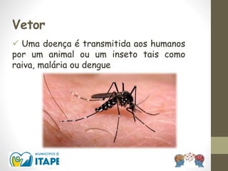 Vetor
 Uma doença é transmitida aos humanos
por um animal ou um inseto tais como
raiva, malária ou dengue
 