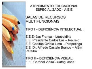 ATENDIMENTO EDUCACIONAL  ESPECIALIZADO - A.E.E. SALAS DE RECURSOS MULTIFUNCIONAIS TIPO I – DEFICIÊNCIA INTELECTUAL : E.E.Enéas França – Leopoldina E.E. Presidente Carlos Luz – Recreio E.E. Capitão Ovídio Lima – Pirapetinga E.E. Dr. Alfredo Castelo Branco – Além Paraíba TIPO II – DEFICIÊNCIA VISUAL: E.E.  Coronel Vieira - Cataguases 