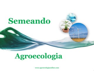 Semeando Agroecologia www.agroecologiaonline.com 