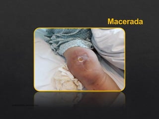 Macerada
APRESENTAÇÃO INSTITUCIONAL
 