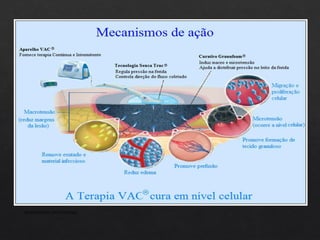 APRESENTAÇÃO INSTITUCIONAL
 