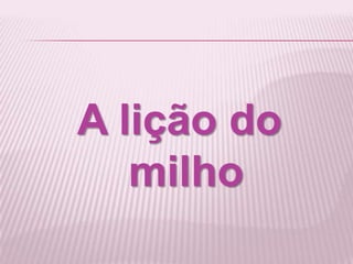 A lição do
milho
 