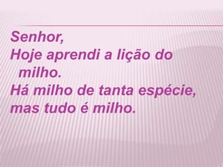 Senhor,
Hoje aprendi a lição do
milho.
Há milho de tanta espécie,
mas tudo é milho.
 