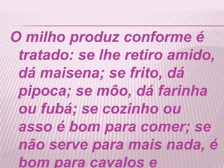 O milho produz conforme é
tratado: se lhe retiro amido,
dá maisena; se frito, dá
pipoca; se môo, dá farinha
ou fubá; se cozinho ou
asso é bom para comer; se
não serve para mais nada, é
bom para cavalos e
 