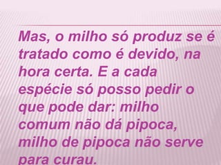 Mas, o milho só produz se é
tratado como é devido, na
hora certa. E a cada
espécie só posso pedir o
que pode dar: milho
comum não dá pipoca,
milho de pipoca não serve
para curau.
 