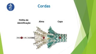 Cordas
 