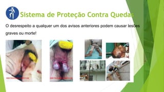 Sistema de Proteção Contra Quedas
O desrespeito a qualquer um dos avisos anteriores podem causar lesões
graves ou morte!
 