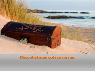 Descobrimos coisas novas.
 