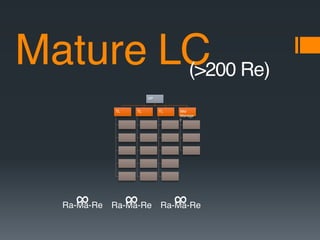 VP
TL TL TL Mid
Manage
r
∞Ra-Ma-Re
Mature LC(>200 Re)
∞Ra-Ma-Re ∞Ra-Ma-Re
 