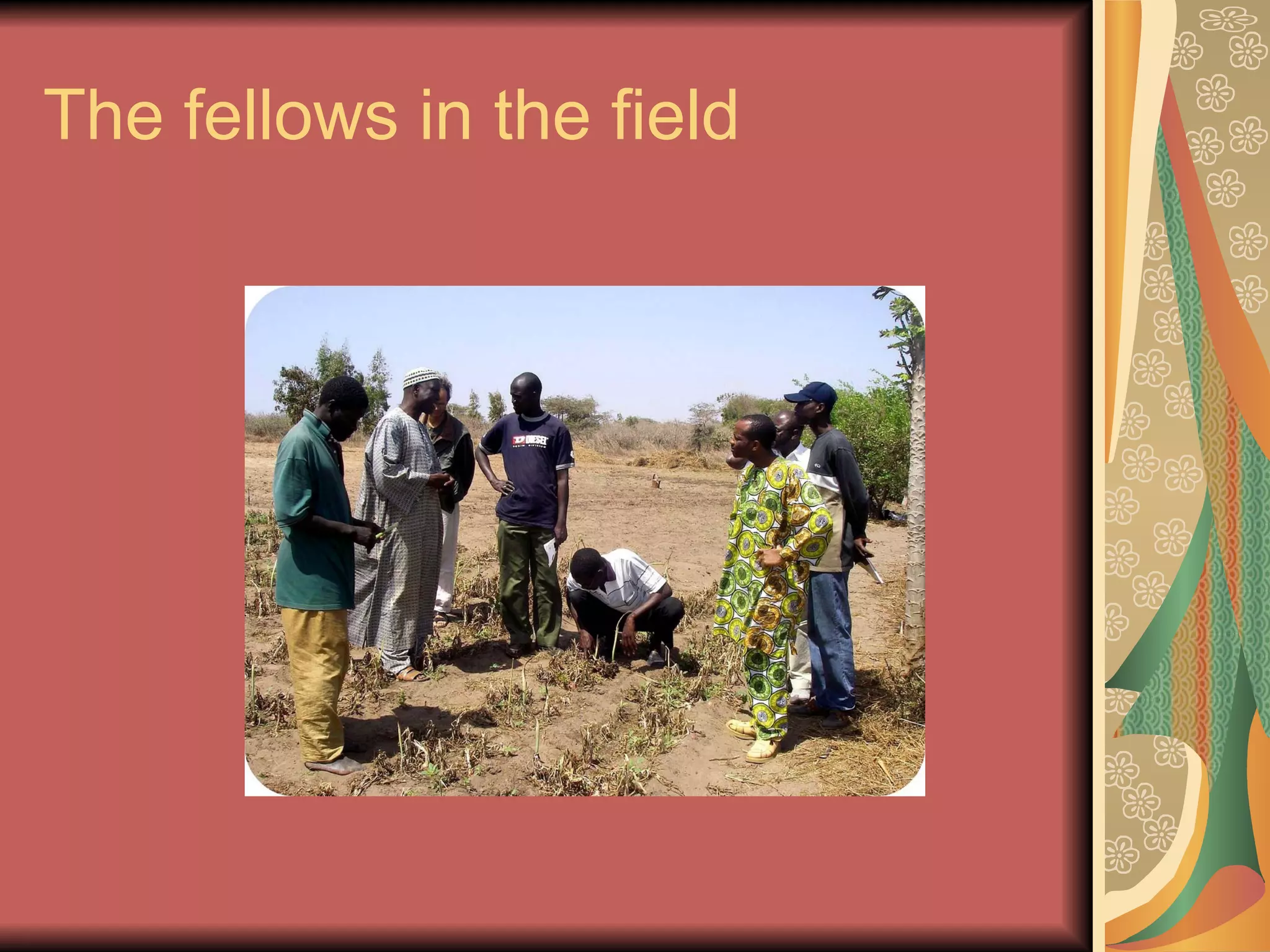 The fellows in the field 