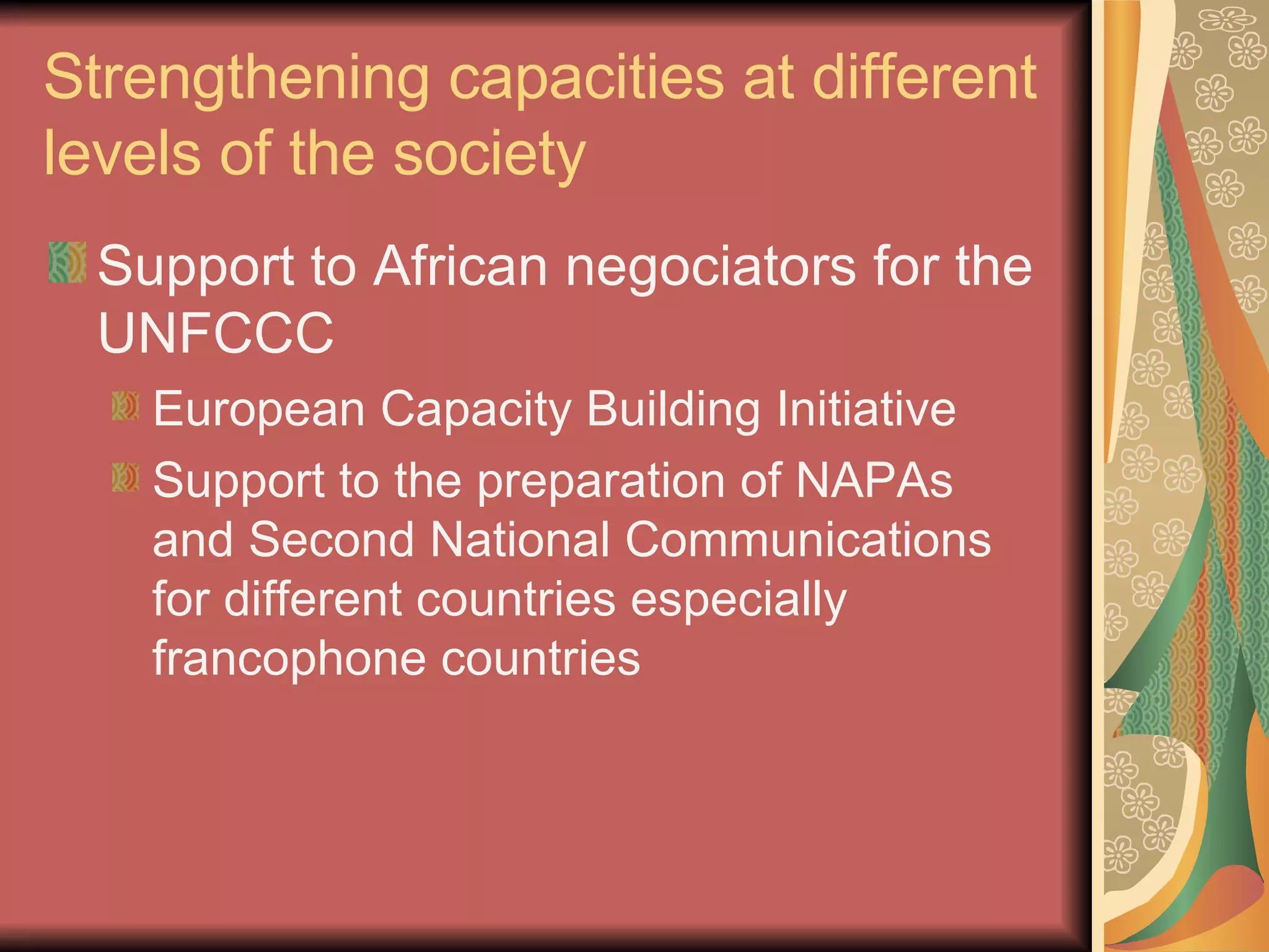 Strengthening capacities at different levels of the society Support to African negociators for the UNFCCC European Capacity Building Initiative Support to the preparation of NAPAs and Second National Communications for different countries especially francophone countries 